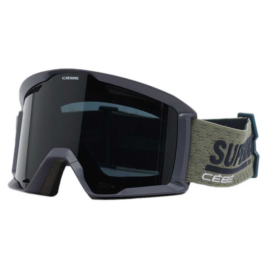 Superdry Reference Ski Goggles Grey