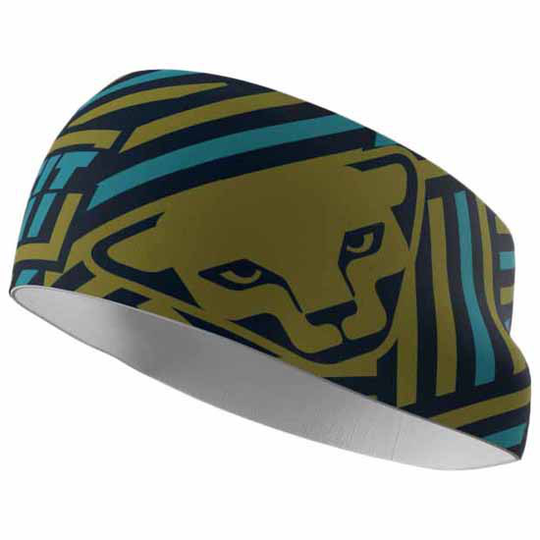 Dynafit Graphic Performance Headband Multicolor Man