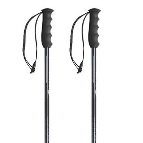 Nordica Alpine Ti Poles Black 110 cm