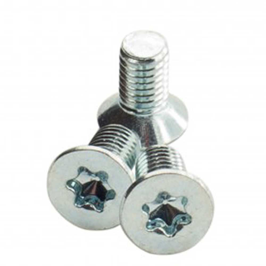Plum R170/oazo/pika Adjustment Screws 16 Units Silver