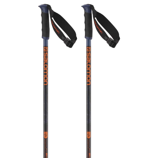 Salomon Arctic S3 Poles Blue 110 cm