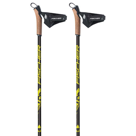 Fischer Rc8 Poles Black 135 cm
