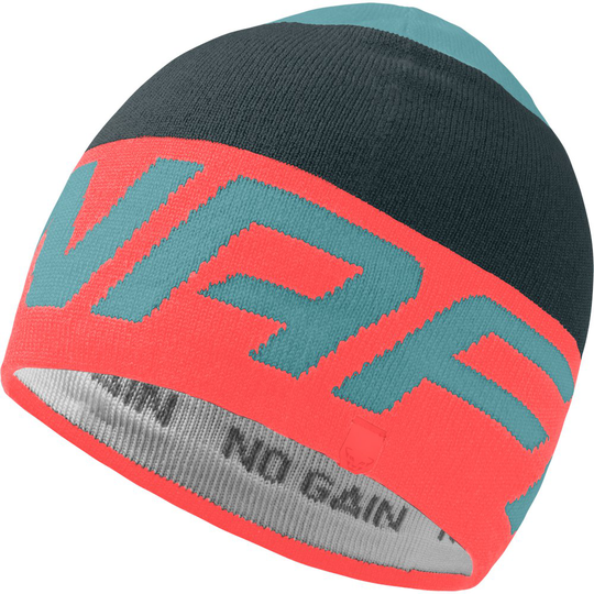 Dynafit Radical Beanie Multicolor Man