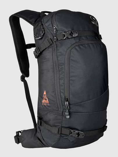 Amplifi RDG 21L Backpack black