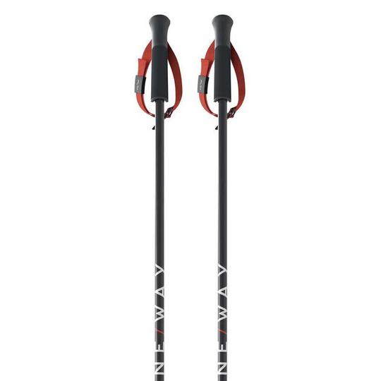 Fischer Rd 16 Sl Pro Poles Black 140 cm