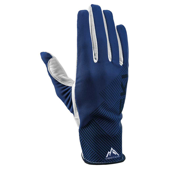 Leki Alpino Guide Premium Gloves Blue 10 Man