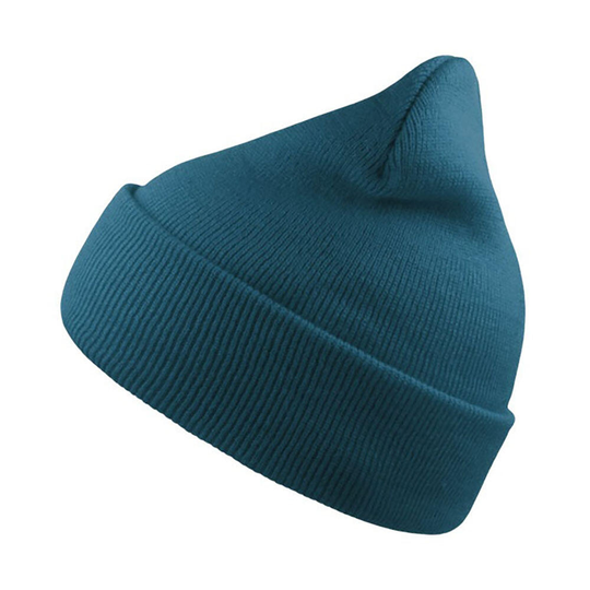 Wind Double Skin Beanie With Turn Up (sapphire Blue)
