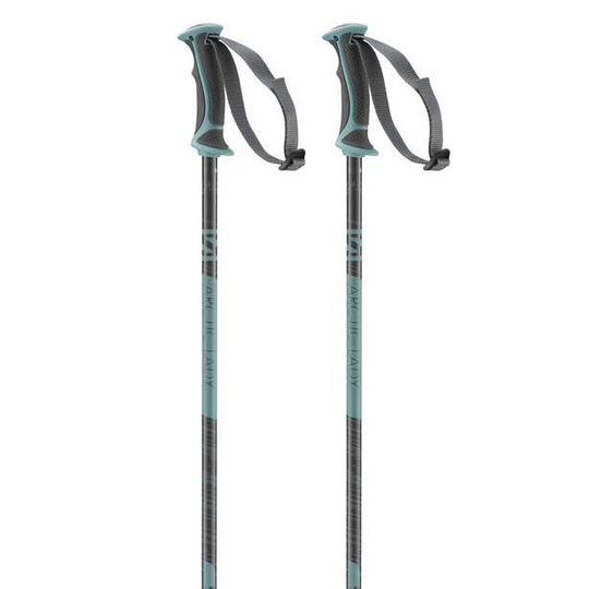 Salomon Arctic Poles Woman Grey 100 cm
