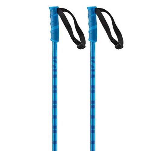 Salomon Hacker Poles Blue 100 cm