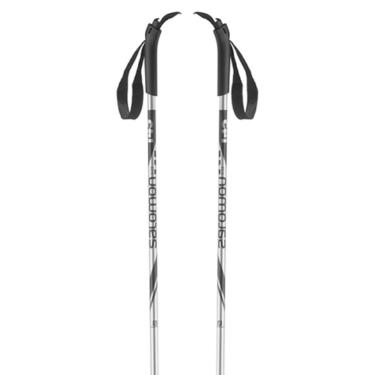 Salomon Alu Poles Silver 125 cm