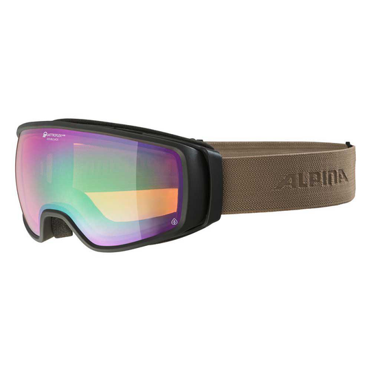 Alpina Double Jack Planet Q-lite Ski Goggles Purple Q-Lite Green Spherical Lens/CAT2/M