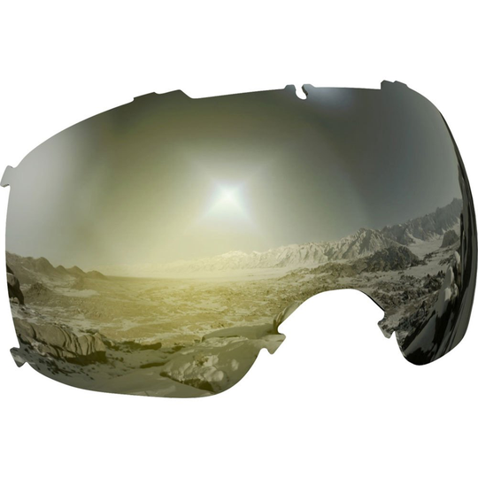 Salomon Xt One Lens Golden Sigma Black Gold/CAT3
