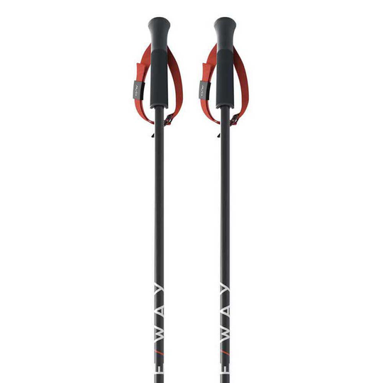 Fischer Rd 16 Gs Pro Poles Black 140 cm