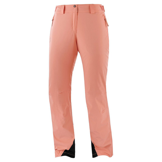 Salomon The Brilliant Pants Pink M / 31 Woman