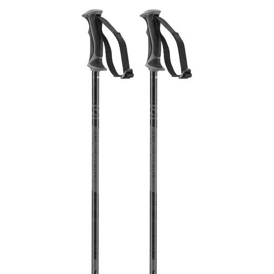 Salomon Arctic Poles Woman Grey 110 cm