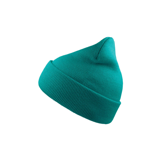 Wind Double Skin Beanie With Turn Up (turquoise)
