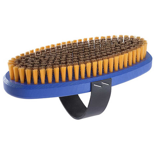 Holmenkol Ovalbrush Bronze Long Wire Brush Blue