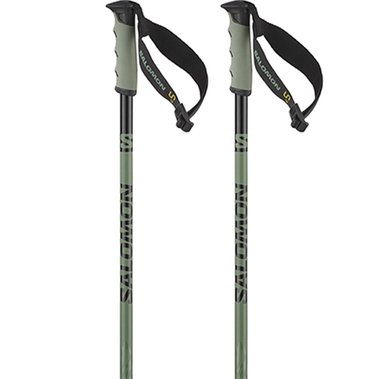 Salomon Hacker S3 Poles Silver 110 cm
