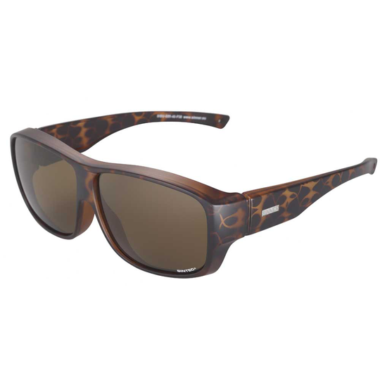 Sinner Sunrise Sunglasses Brown Sintec Brown/CAT3