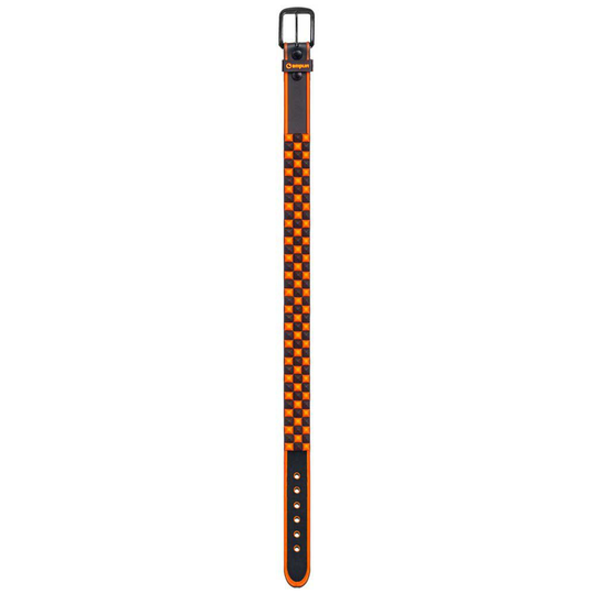 Amplifi Stud Team Belt Orange S Man