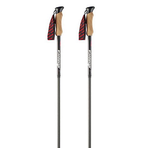 Nordica Elite Carbon Poles Black 110 cm