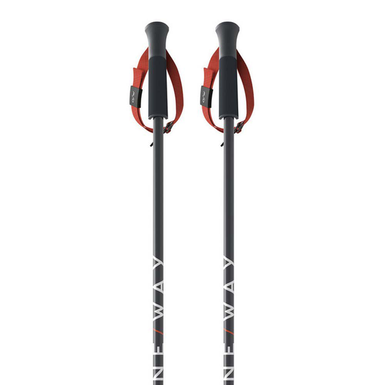 Fischer Rd Sl Poles Junior Black 90 cm