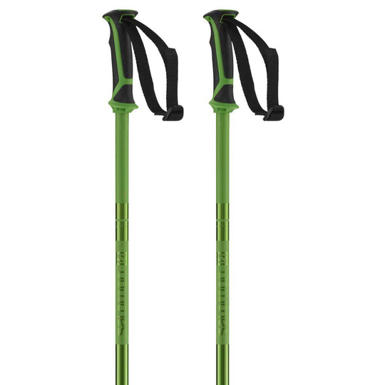 Salomon Arctic Poles Green 135 cm
