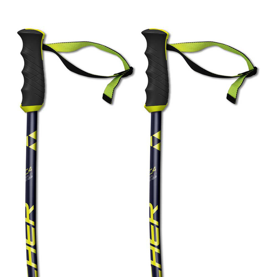Fischer Rc4 Gs Poles Black 100 cm