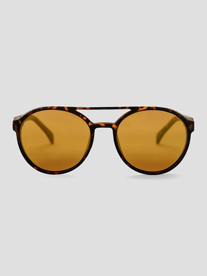 CHPO Rickard Turtle Brown Sunglasses gold