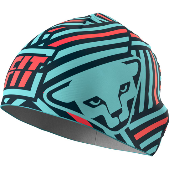 Dynafit Performance 2 Beanie Multicolor Man