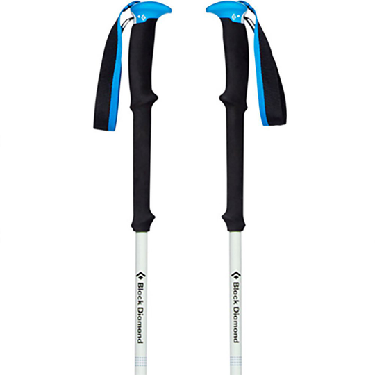 Black Diamond Expedition 2 Pro Poles Black 155 cm