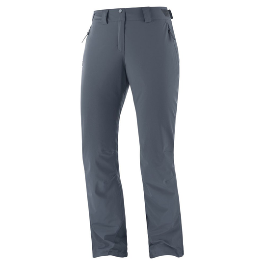 Salomon The Brilliant Pants Grey S / 31 Woman
