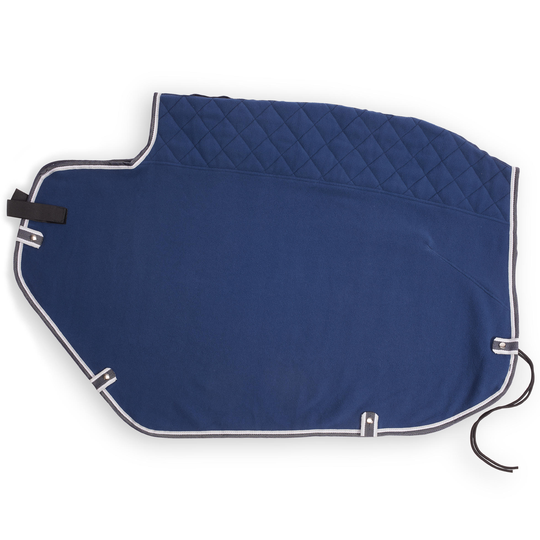Polar 560 Horse Riding Exercise Sheet - Blue