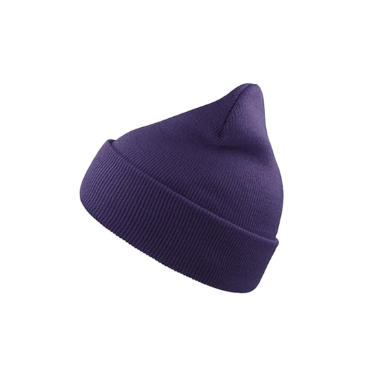 Wind Double Skin Beanie With Turn Up (purple)