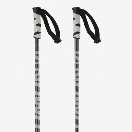 Salomon Hacker Poles Black 100 cm