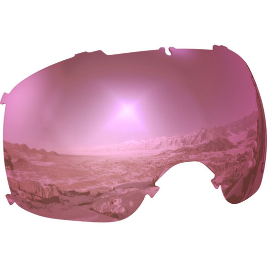 Salomon Xt One Lens Pink Sigma Silver Pink/CAT1