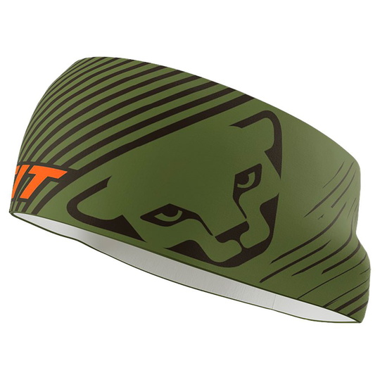 Dynafit Graphic Performance Headband Green Man